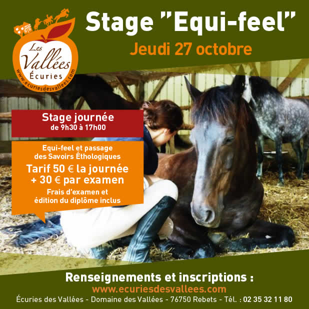 stage équitation les vallées rouen octobre 2017